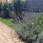 Apartmani Verde *